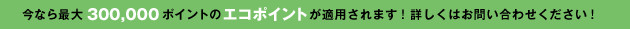 今なら最大300,000ポイントのエコポイントが適用されます！詳しくはお問い合わせください！